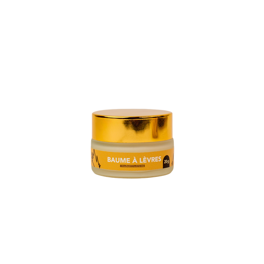 Baume à Lèvres Bodyliscious 20 G