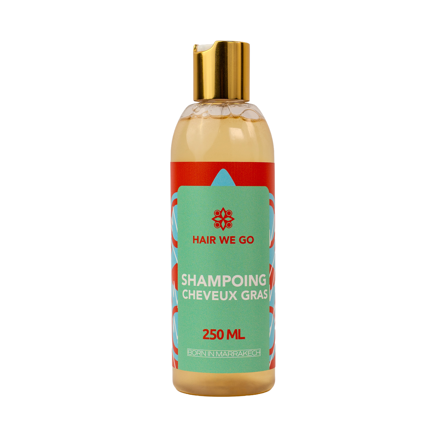 Shampoing Cheveux Gras Hair We Go 250ML