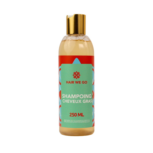 Shampoing Cheveux Gras Hair We Go 250ML