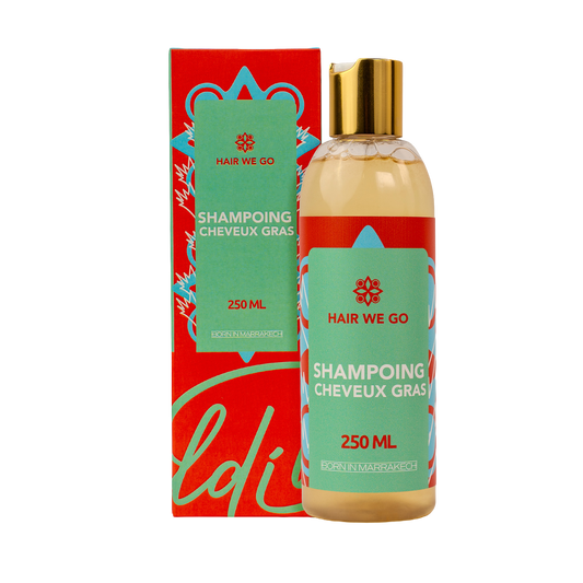 Shampoing Cheveux Gras Hair We Go 250ML