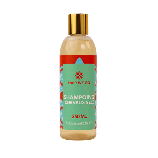 Shampoing Cheveux Secs Hair We Go 250ML