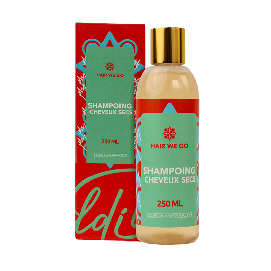 Shampoing Cheveux Secs Hair We Go 250ML